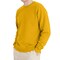 Hanes EcoSmart Unisex Crewneck Sweatshirt P160 Cotton-Poly Blend Fleece for Crafts